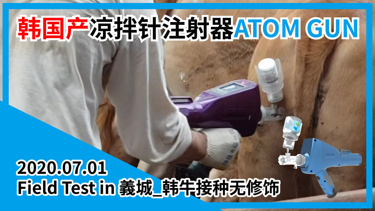 2020年7月1日 义城_韩牛接种_无修图